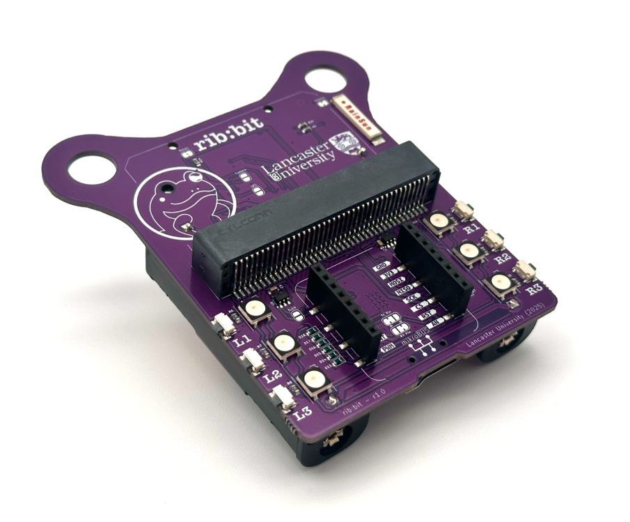 A photograph of the rib:bit